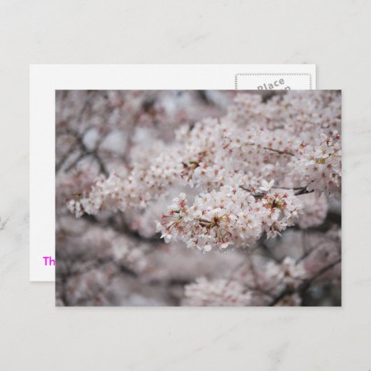 Carte Postale Fleur vive (Devant / Derrière)