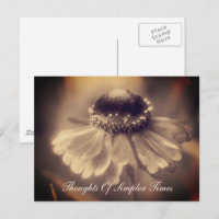 Fleur Zinnia plus simple Temps Inspiration