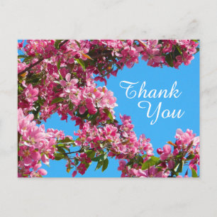 Carte Postale Fleurir et Ciel Bleu Merci