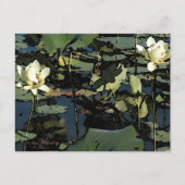 Carte Postale Fleurit De Lys D'Eau (Devant)