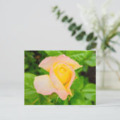 Carte Postale Fleurs (Debout devant)