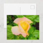 Carte Postale Fleurs (Devant / Derrière)