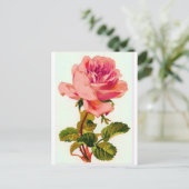 Carte Postale Fleurs (Debout devant)