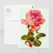 Carte Postale Fleurs (Devant / Derrière)