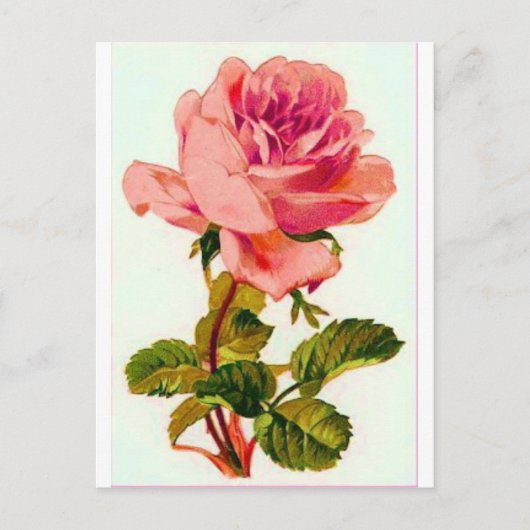 Carte Postale Fleurs (Devant)