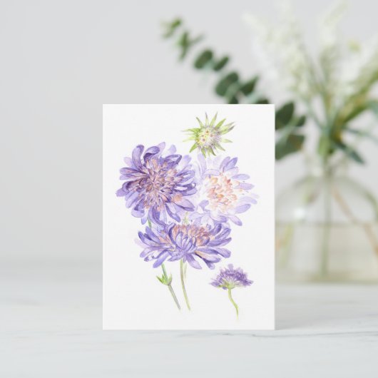 Carte Postale fleurs (Debout devant)