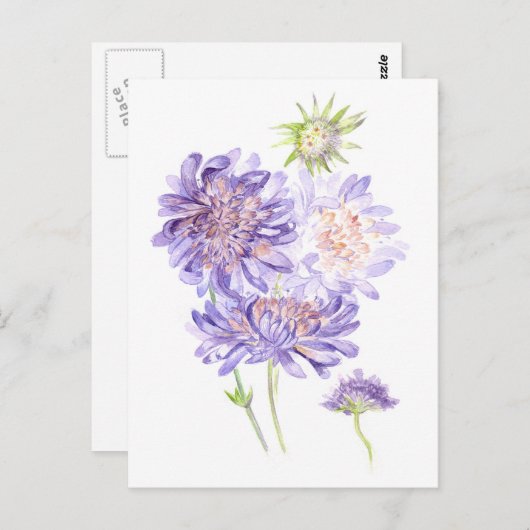 Carte Postale fleurs (Devant / Derrière)