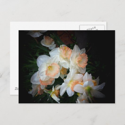 Carte Postale fleurs (Devant / Derrière)