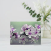 carte postale fleurs (Debout devant)