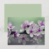 carte postale fleurs (Devant / Derrière)