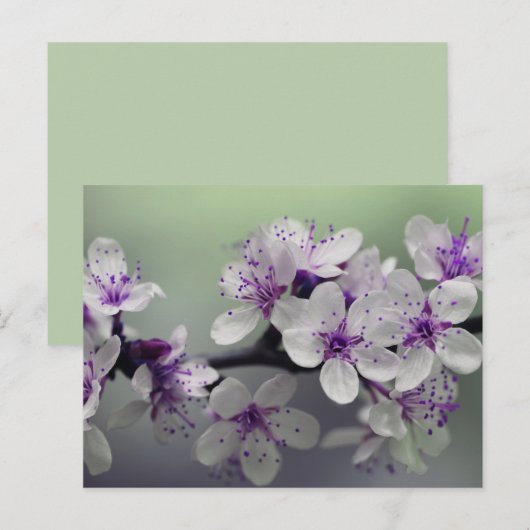 carte postale fleurs (Devant / Derrière)