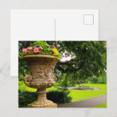 Carte Postale Fleurs (Devant / Derrière)