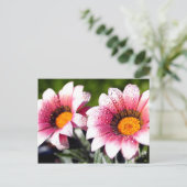 Carte postale Fleurs (Debout devant)