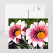 Carte postale Fleurs (Devant / Derrière)