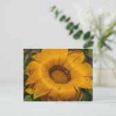 Carte Postale Fleurs (Debout devant)