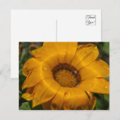 Carte Postale Fleurs (Devant / Derrière)