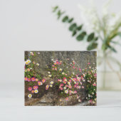 Carte Postale Fleurs (Debout devant)