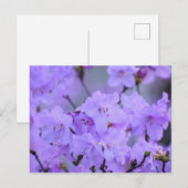 Carte Postale Fleurs (Devant / Derrière)