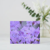 Carte Postale Fleurs (Debout devant)