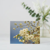 Carte Postale Fleurs (Debout devant)