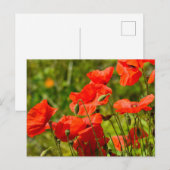 Carte Postale Fleurs (Devant / Derrière)