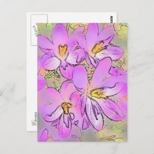 CARTE POSTALE FLEURS (Devant / Derrière)