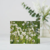 Carte Postale Fleurs (Debout devant)