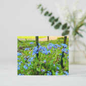 Carte Postale Fleurs (Debout devant)