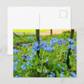 Carte Postale Fleurs (Devant / Derrière)