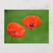 Carte Postale Fleurs (Devant)