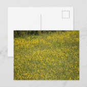 Carte Postale Fleurs (Devant / Derrière)
