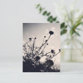 Carte Postale Fleurs (Debout devant)