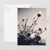 Carte Postale Fleurs (Devant / Derrière)