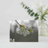 Carte Postale Fleurs (Debout devant)