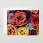 Carte Postale Fleurs (Devant / Derrière)