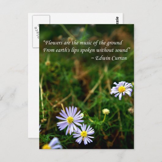 Carte postale Fleurs (Devant / Derrière)