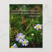 Carte postale Fleurs (Devant)