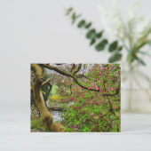 Carte Postale Fleurs (Debout devant)