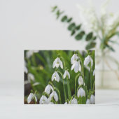 Carte Postale Fleurs (Debout devant)