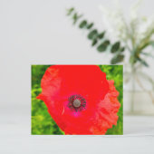 Carte Postale Fleurs (Debout devant)