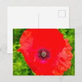Carte Postale Fleurs (Devant / Derrière)