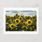 Carte Postale fleurs (Devant)