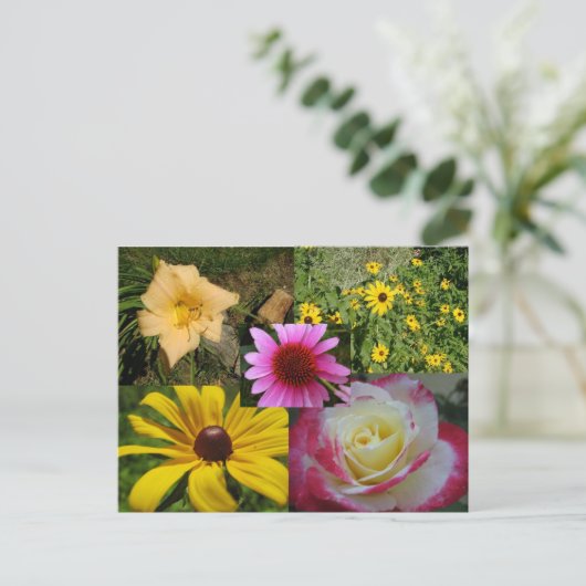 Carte Postale Fleurs (Debout devant)