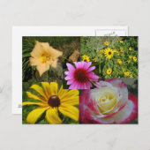 Carte Postale Fleurs (Devant / Derrière)