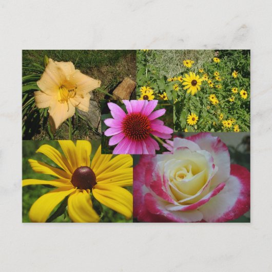 Carte Postale Fleurs (Devant)