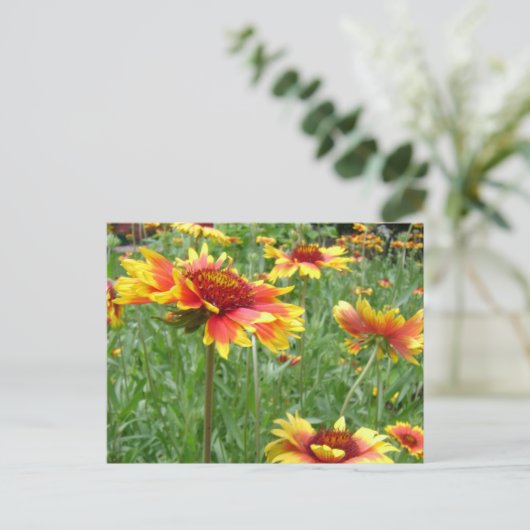 Carte Postale Fleurs (Debout devant)