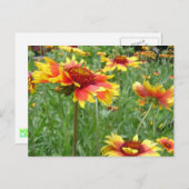 Carte Postale Fleurs (Devant / Derrière)