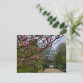 Carte Postale Fleurs (Debout devant)