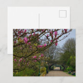 Carte Postale Fleurs (Devant / Derrière)