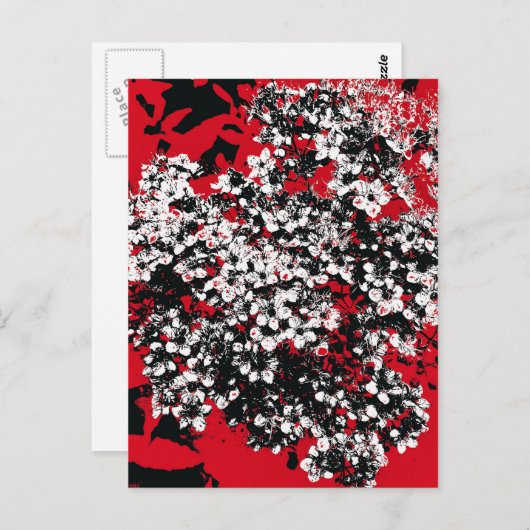 CARTE POSTALE FLEURS (Devant / Derrière)